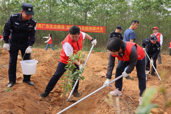 春暖三月学雷锋 植树护绿正当时